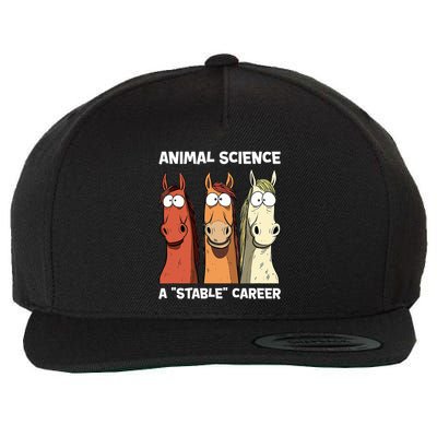 Animal Science A Stable Career Funny Horse Science Wool Snapback Cap