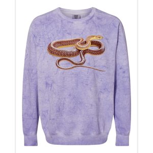 Aesculapian Snake Colorblast Crewneck Sweatshirt