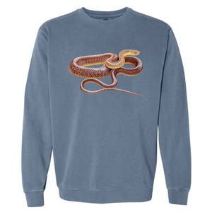 Aesculapian Snake Garment-Dyed Sweatshirt