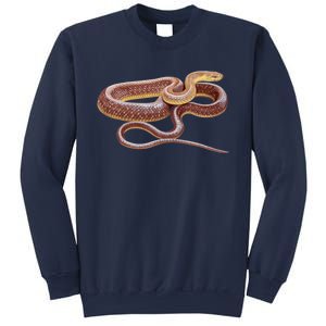 Aesculapian Snake Sweatshirt