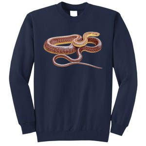 Aesculapian Snake Tall Sweatshirt