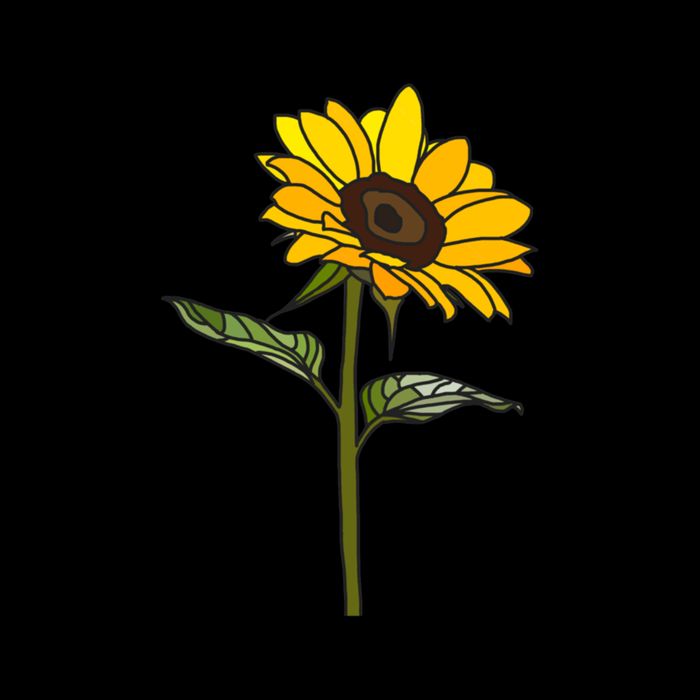 Aesthetic Sunflower City Backpack