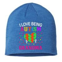 Autism Superpower Autism Mama Gift Sustainable Beanie