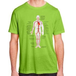 Arterial System Anatomy Heart Vascular Medical Gift Adult ChromaSoft Performance T-Shirt