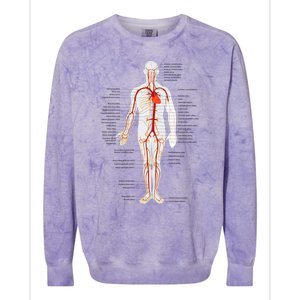 Arterial System Anatomy Heart Vascular Medical Gift Colorblast Crewneck Sweatshirt