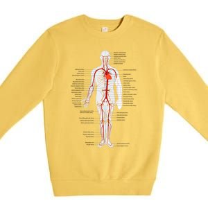 Arterial System Anatomy Heart Vascular Medical Gift Premium Crewneck Sweatshirt