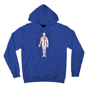 Arterial System Anatomy Heart Vascular Medical Gift Hoodie