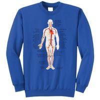 Arterial System Anatomy Heart Vascular Medical Gift Sweatshirt