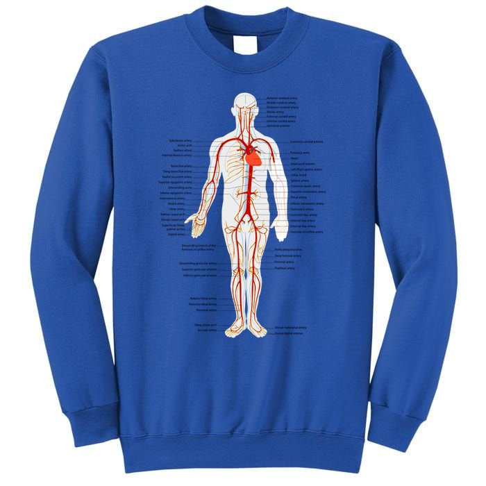 Arterial System Anatomy Heart Vascular Medical Gift Sweatshirt