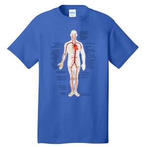 Arterial System Anatomy Heart Vascular Medical Gift Tall T-Shirt