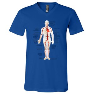 Arterial System Anatomy Heart Vascular Medical Gift V-Neck T-Shirt