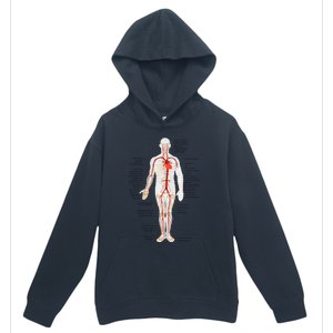 Arterial System Anatomy Heart Vascular Medical Gift Urban Pullover Hoodie