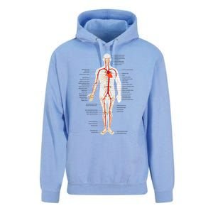 Arterial System Anatomy Heart Vascular Medical Gift Unisex Surf Hoodie