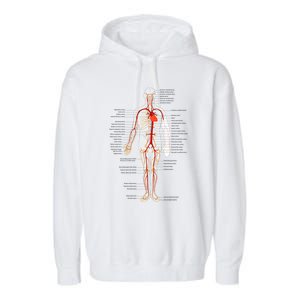 Arterial System Anatomy Heart Vascular Medical Gift Garment-Dyed Fleece Hoodie