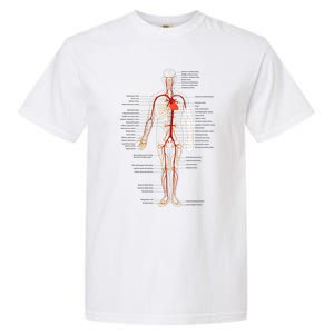 Arterial System Anatomy Heart Vascular Medical Gift Garment-Dyed Heavyweight T-Shirt