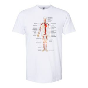 Arterial System Anatomy Heart Vascular Medical Gift Softstyle CVC T-Shirt