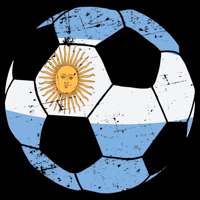 Argentina Soccer Ball Flag Jersey Argentinian Football Premium T-Shirt