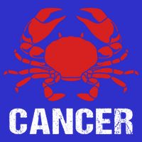 Astrological Sign Cancer Crab Zodiac Gift Hoodie