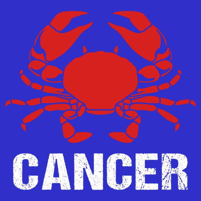 Astrological Sign Cancer Crab Zodiac Gift Hoodie