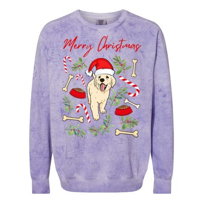 Adorable Sweet Christmas Puppy Labrador With Santa Hat Dog Gift Colorblast Crewneck Sweatshirt