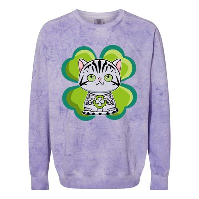 American Shorthair Cat Anime Kitten Irish St Patricks Funny Gift Colorblast Crewneck Sweatshirt