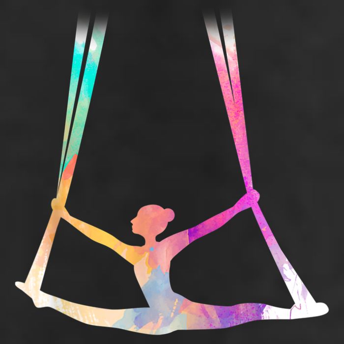 Aerial Silks Circus Yoga 7 Panel Mesh Trucker Snapback Hat