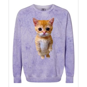 Adorable Standing Cat With Big Eyes And Cute Charm Funny Colorblast Crewneck Sweatshirt