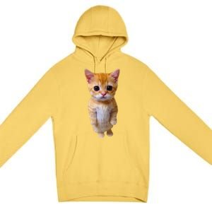 Adorable Standing Cat With Big Eyes And Cute Charm Funny Premium Pullover Hoodie