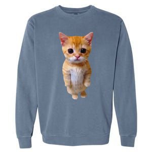 Adorable Standing Cat With Big Eyes And Cute Charm Funny Garment-Dyed Sweatshirt