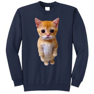 Adorable Standing Cat With Big Eyes And Cute Charm Funny Sweatshirt