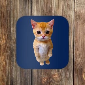 Adorable Standing Cat With Big Eyes And Cute Charm Funny Coaster