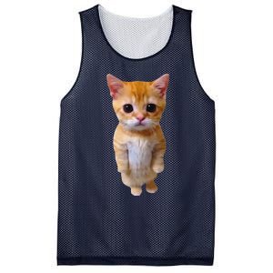 Adorable Standing Cat With Big Eyes And Cute Charm Funny Mesh Reversible Basketball Jersey Tank