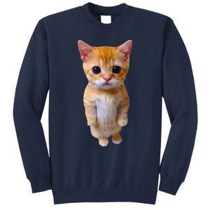 Adorable Standing Cat With Big Eyes And Cute Charm Funny Tall Sweatshirt