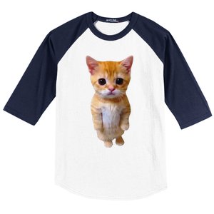 Adorable Standing Cat With Big Eyes And Cute Charm Funny Baseball Sleeve Shirt