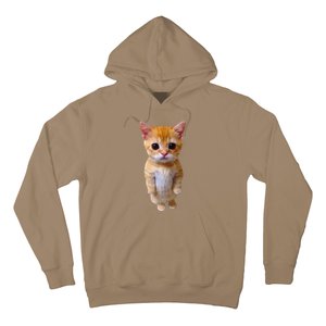 Adorable Standing Cat With Big Eyes And Cute Charm Funny Hoodie