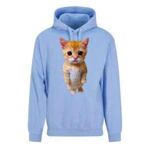 Adorable Standing Cat With Big Eyes And Cute Charm Funny Unisex Surf Hoodie