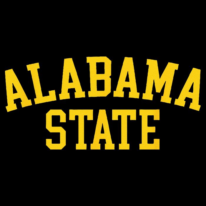 Alabama State Cool AL Alabamian Souvenir Men Women Bucket Hat