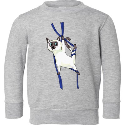Aerial Silks Dancer Aerialist Air Yoga Acrobatics Cat Funny Toddler Sweatshirt
