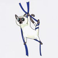 Aerial Silks Dancer Aerialist Air Yoga Acrobatics Cat Funny Doggie Tank