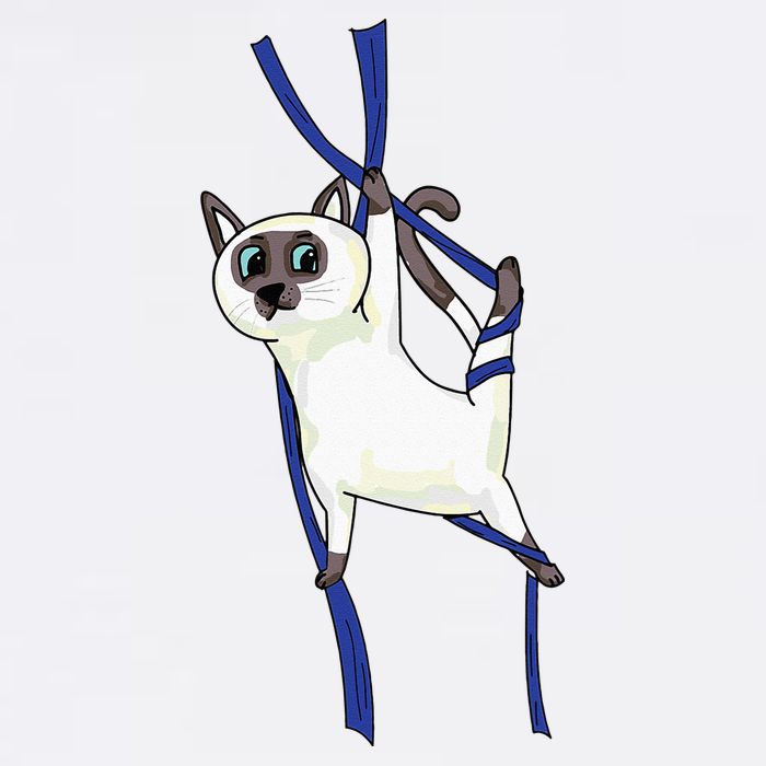 Aerial Silks Dancer Aerialist Air Yoga Acrobatics Cat Funny Doggie Tank