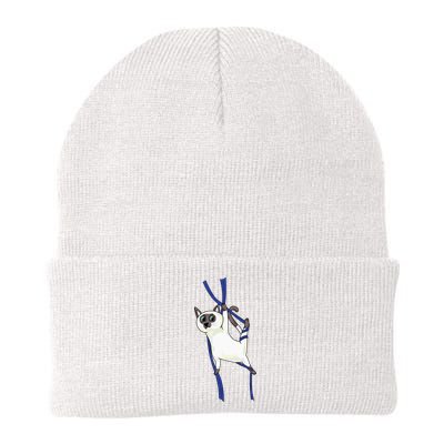 Aerial Silks Dancer Aerialist Air Yoga Acrobatics Cat Funny Beanie