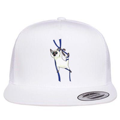 Aerial Silks Dancer Aerialist Air Yoga Acrobatics Cat Funny Flatbill Hat