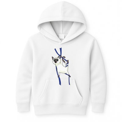 Aerial Silks Dancer Aerialist Air Yoga Acrobatics Cat Funny Kids Hoodie