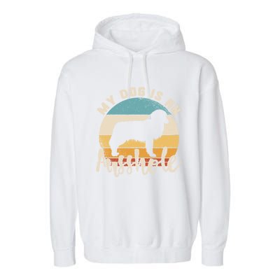 Australian Shepherd Dog Is An Ausshole Retro Aussie Shepherd Gift Garment-Dyed Fleece Hoodie