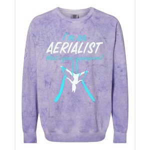 Aerial Silks Dancer Aerialist Air Yoga Acrobatics Women Gift Colorblast Crewneck Sweatshirt