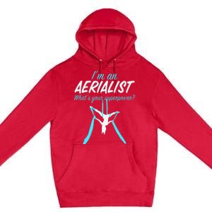 Aerial Silks Dancer Aerialist Air Yoga Acrobatics Women Gift Premium Pullover Hoodie