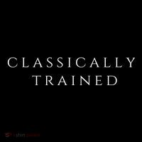A Stylish Design That Says Classically Trained Gift Hooded Wearable Blanket