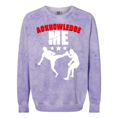 Acknowledgt Slogan For Equality Hu Rights Advocate Meaningful Gift Colorblast Crewneck Sweatshirt