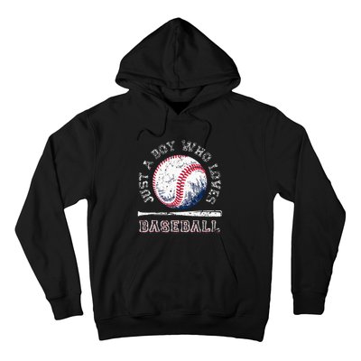 American Sport Fan Baseball Lover Batter Baseball Hoodie