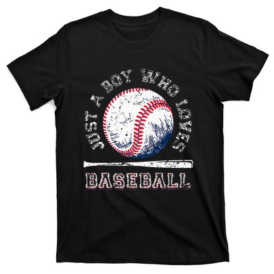 American Sport Fan Baseball Lover Batter Baseball T-Shirt